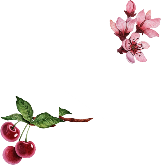 cherry and flower
