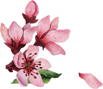 bottom flower image